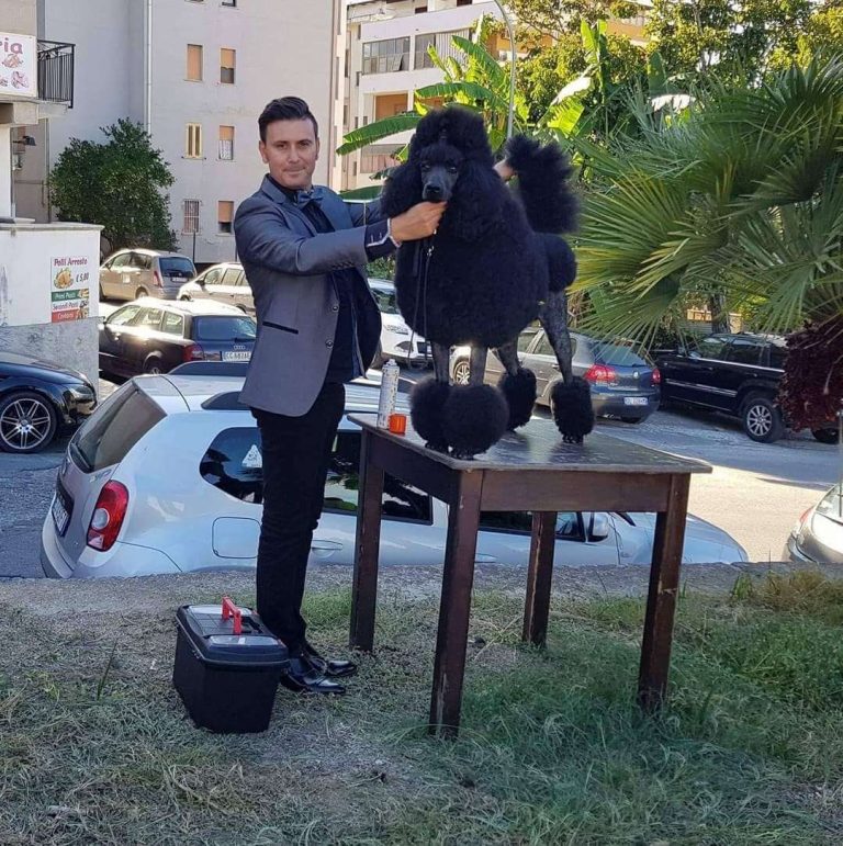 Marco Audia Toelettatore professionista